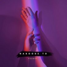 دانلود آهنگ جدید پیدی به نام نبود تو